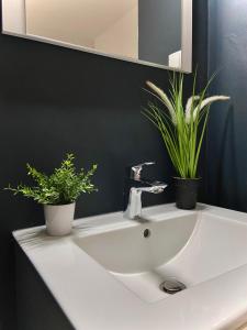 a bathroom sink with two potted plants on it at Cozy Room w Shared Kitchen, Fast WiFi Near Station in Tilburg +31 photos