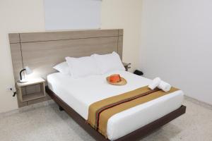 Fotografie z fotogalerie ubytování Hotel Tepia v destinaci Maicao