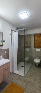 ein Badezimmer mit Dusche, Toilette und Waschbecken in der Unterkunft Brücke26 Stadthaus mit Dachterrasse in Mühlhausen + 18 Fotos