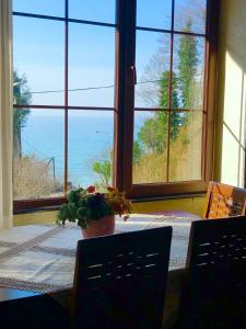 Gallery image of Villa Kolkhi in Kvariati