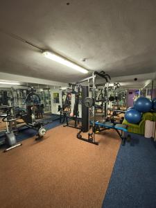Fitness centrum a/nebo fitness zařízení v ubytování hotel Sádek