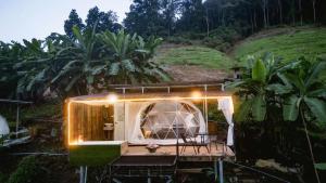 Zahrada ubytování Kao Saan Lodge เก้าแสน ลอจ์ด