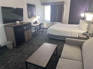 TV a/nebo společenská místnost v ubytování Best Western Bolingbrook Hotel