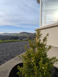 Gallery image of Mountain View House in Bunclody