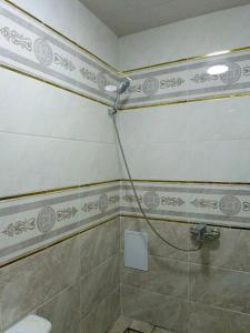 a bathroom with a shower and a toilet at Olimxon Guest House in Bukhara +66 photos