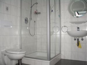 a bathroom with a shower and a toilet and a sink at Ferienhof Ott im Rothenburger Land in Adelshofen +21 photos