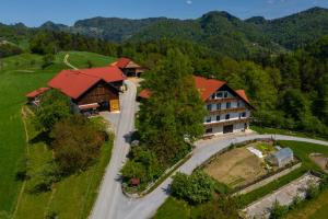 an aerial view of a house in the mountains at Country House Apat in Šoštanj