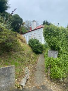 a path leading up to a house with a hedge at Granny Grunkes Cottage in Oamaru +3 photos