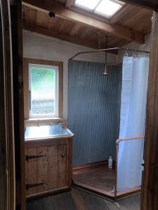 a bathroom with a shower and a sink and a window at Granny Grunkes Cottage in Oamaru
