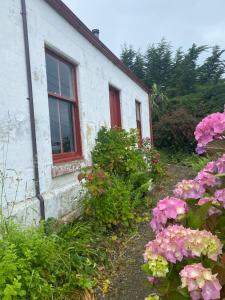 a white house with a red window and flowers at Granny Grunkes Cottage in Oamaru