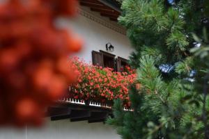 A garden outside Baita Franz Mansarda 1 Livigno