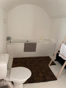 a bathroom with a toilet and a bath tub at Apartmány Na vlně in Kozákov +35 photos