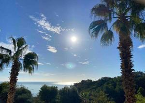 two palm trees with the sun in the sky at Casa Etra in Torre di Palme