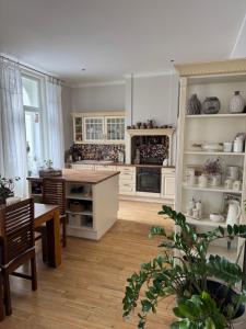 Billede fra billedgalleriet på Vila Anna i Želízy