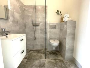 a bathroom with a shower and a toilet at Vibrant Raamsdonksveer, near Efteling & Biesbosch in Raamsdonksveer +24 photos