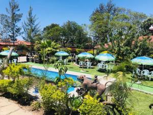 a resort with a swimming pool with tables and umbrellas at uPhondo Lodge in Bulawayo