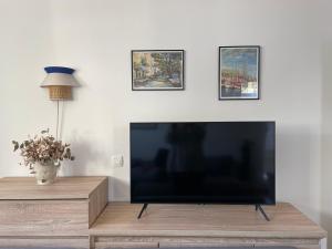 einen großen Flachbild-TV auf einem Tisch in der Unterkunft Villa Centenary Goose in Korčula