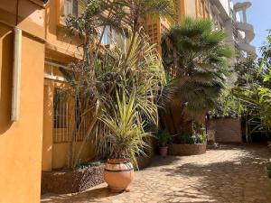 a courtyard with palm trees in front of a building at Petit appartement vintage in Dakar