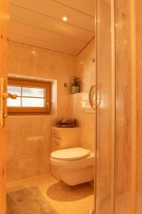 een badkamer met toilet en glazen douche bij Apartment Egidi in Brixen im Thale +5 foto's