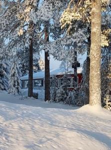 a house covered in snow in front of trees at Østby Trysil luxury holiday home in Trysil