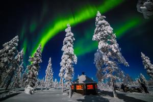 an aurora shines in the sky over a cabin with trees at Wilderness Hotel Kieppi in Saariselka