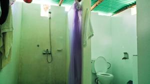 a bathroom with a shower and a toilet in it at Complexo Alemanha - Vilanculos Backpacker in Vilanculos +24 photos
