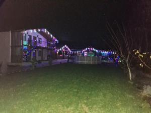 a house with christmas lights on it at night at Cabana Oprișor in Ocna Sibiului +2 photos