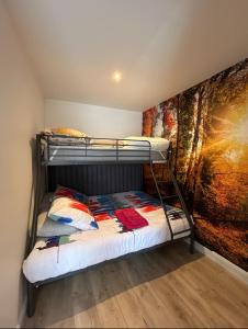 a bunk bed in a room with a mural at Gîte Nature & Volcans in Volvic +1 photo