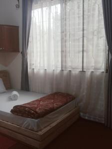 a bedroom with a bed with a window with curtains at Miroshi Camp Site in Sanya Juu