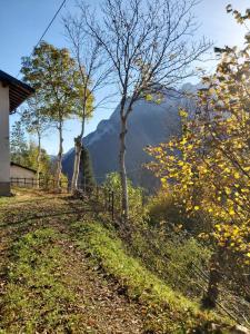 a fence on the side of a road with a mountain at Azzone Cascina nel verde in Azzone +20 photos