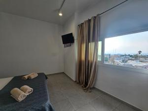 TV a/nebo společenská místnost v ubytování Piazza Napa Suites