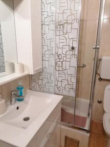 Kúpeľňa v ubytovaní Apartment Megy