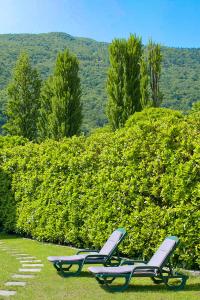zwei Liegestühle auf dem Rasen vor einer Hecke in der Unterkunft Casa Ponte Ballerino in Cannobio