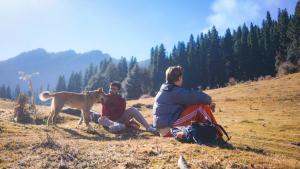 Gallery image of The Missinɠ Peace in Shangarh +71 photos