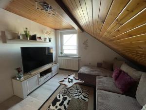 a living room with a couch and a flat screen tv at Ferienwohnungen Goldhahn in Eibenstock