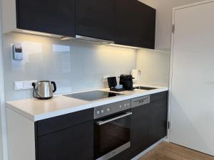 Kuchyňa alebo kuchynka v ubytovaní Skyline City Loft