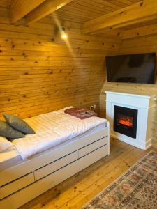 a bedroom with a bed with a fireplace and a tv at Mountain Mia in Šišava