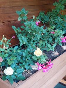 Gallery image of La chambre d'en haut in Enney