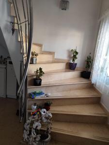 a set of stairs with potted plants on them at Vila Elena in Bucharest