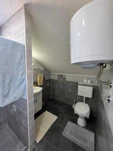 Vannituba majutusasutuses Apartman All seasons