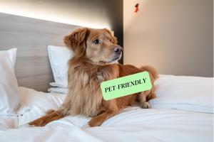 a dog sitting on a bed with a sign on it at Citybox Brussels Centre Louise in Brussels