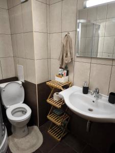 ein Badezimmer mit Waschbecken, Toilette und Spiegel in der Unterkunft NiSimo Apartment Grand Resort Pamporovo in Pamporowo