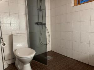 a bathroom with a toilet and a shower at Soutajanhattu in Pyhätunturi +23 photos
