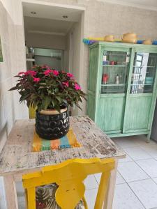 une table avec une plante en pot en haut dans l'établissement Espaço Aconchegante no Centro da Cidade, à Águas de São Pedro