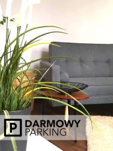 una stanza con una pianta e le parole parcheggio memoria di MARZEC Apartamenty a Gniezno
