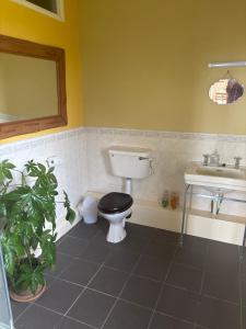 Fotografie z fotogalerie ubytování Ballynona House v destinaci Midleton