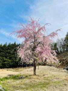 Zahrada ubytování 桜の山荘