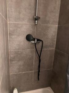 een douche met een föhn in de badkamer bij 4 - Les pins roses in Poitiers