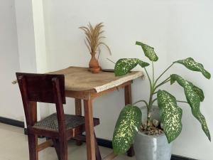 Fotografie z fotogalerie ubytování Bananas Mirissa v Mirisse (jih)