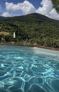 a pool of water with a mountain in the background at Gîte NOCTUA chez Gîtes QUE CANTA in Saint-Julien-Vocance +77 photos